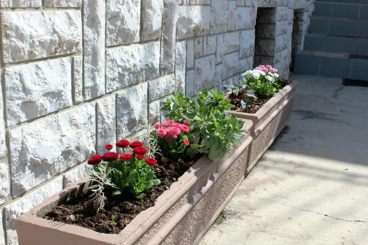 Apartment Mis Floura Rijeka 0*,
